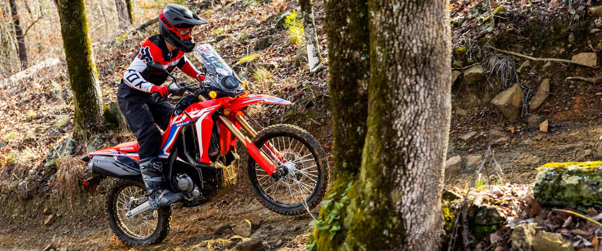 honda-crf300-rally